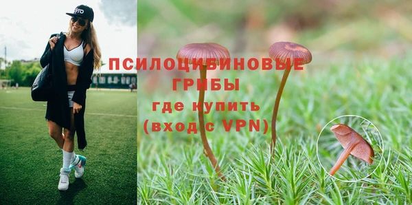 винт Алзамай