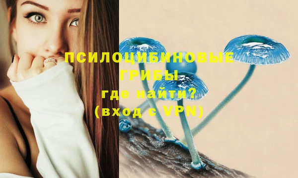 синтетический гашиш Алексин